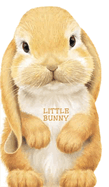 Little Bunny