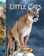 Little Cats