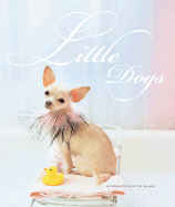 Little Dogs - Blanks, Tim (Introduction by)