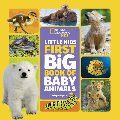 Little Kids First Big Book of Baby Animals - Myers, Maya