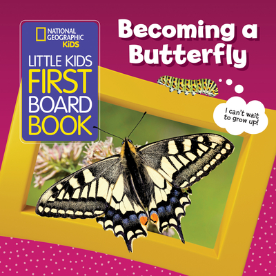 Little Kids First Board Book: Becoming a Butterfly - Musgrave, Ruth A