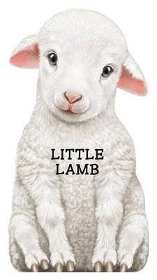 Little Lamb - 