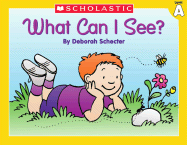 Little Leveled Readers: Level a - What Can I See?: Just the Right Level to Help Young Readers Soar! - Schecter, Deborah