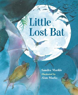 Little Lost Bat - Markle, Sandra