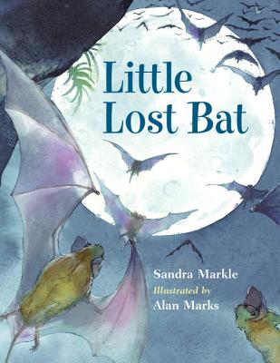 Little Lost Bat - Markle, Sandra