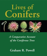 Lives of Conifers: A Comparative Account of the Coniferous Trees