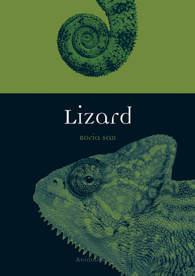 Lizard - Sax, Boria