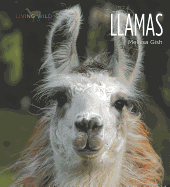 Llamas