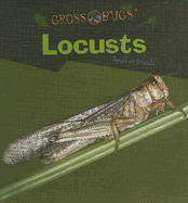 Locusts