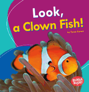 Look, a Clown Fish!