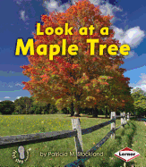 Look at a Maple Tree
