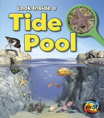 Look Inside a Tide Pool - Spilsbury, Louise