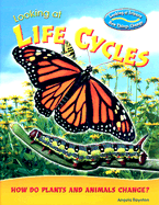 Looking at Life Cycles: How Do Plants and Animals Change?