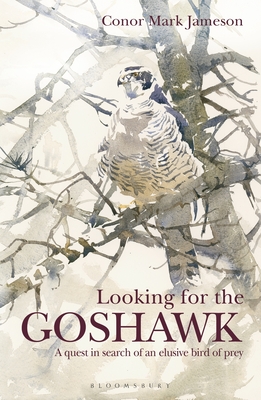 Looking for the Goshawk - Jameson, Conor Mark