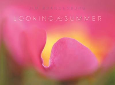Looking for the Summer - Brandenburg, Jim