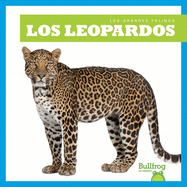 Los Leopardos (Leopards)