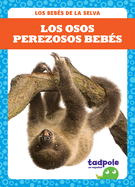 Los Osos Perezosos Bebs (Sloth Babies)