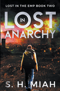 Lost in Anarchy