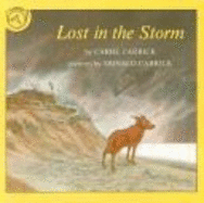 Lost in the Storm Rnf