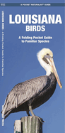 Louisiana Birds: A Folding Pocket Guide to Familiar Species