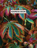 Low Vision Large Print Address and Password Record Book: Organizer for Visually Impaired 8.5" x 11" with Bold Lines 3/4" Apart Fall Colors Cover