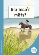 Mts Maesllan: Ble Mae'r Mts?