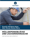Mlldeponieblcke Und Zuckerrohrasche