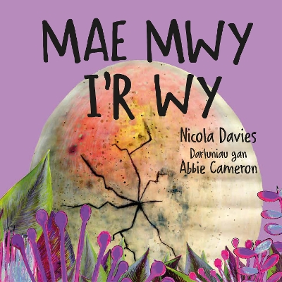 Mae Mwy I'r Wy - Davies, Nicola, and Cameron, Abbie (Illustrator), and Pierce, Anwen (Translated by)