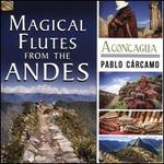 Magical Flutes From the Andes: Aconcagua