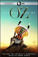 Magical Land of Oz - Tosca Looby