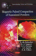 Magnetic Pulsed Compaction of Nanosized Powders