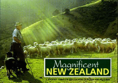 Magnificent New Zealand: A Journey through the Country