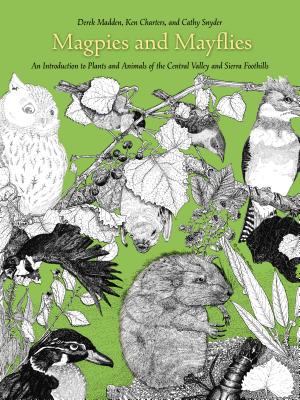 Magpies and Mayflies: An Introduction to Plants and Animals of the Central Valley and the Sierra Foothills - Madden, Derek, and Charters, Ken, and Snyder, Cathy