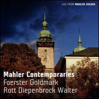 Mahler Contemporaries - Felix Rumpf (baritone); Ladislava Vondrckov (piano); Petra Froese (soprano); Petra Sobotka (organ);...