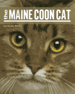 Maine Coon Cat PB