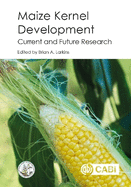 Maize Kernel Development