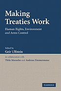 Making Treaties Work: Human Rights, Environment and Arms Control