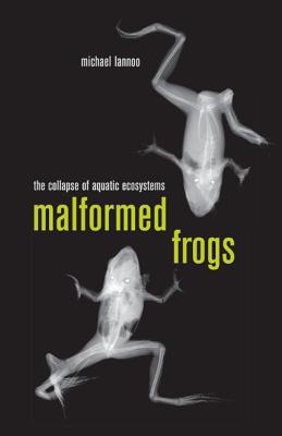 Malformed Frogs: The Collapse of Aquatic Ecosystems - Lannoo, Michael