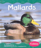 Mallards