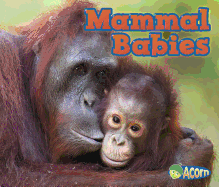 Mammal Babies