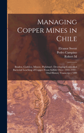 Managing Copper Mines in Chile: Braden, Codelco, Minerc, Pudahuel; Developing Controlled Bacterial Leaching of Copper from Sulfide Ores: 1941-1993: Oral History Transcript / 199