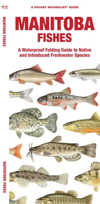 Manitoba Fishes: A Waterproof Folding Guide to Native and Introduced Freshwater Species - Morris, Matthew, and Waterford Press