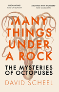 Many Things Under a Rock: The 'mind-blowing' book that reveals the mysteries of the octopus, perfect reading for summer 2025