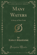 Many Waters: A Story of New York (Classic Reprint)