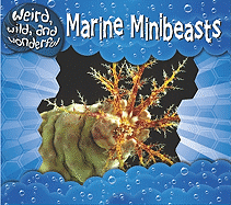 Marine Minibeasts