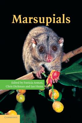 Marsupials - Armati, Patricia J. (Editor), and Dickman, Chris R. (Editor), and Hume, Ian D. (Editor)