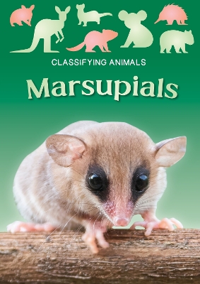 Marsupials - Tyler, Madeline, and Webster-Jones, Danielle (Designer)