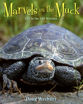 Marvels in the Muck: Life in the Salt Marshes - Wechsler, Doug