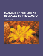 Marvels of fish life as revealed by the camera