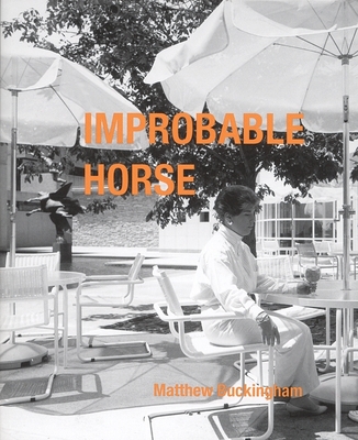 Matthew Buckingham: Improbable Horse - Buckingham, Matthew, and Hickson, Patricia (Editor)